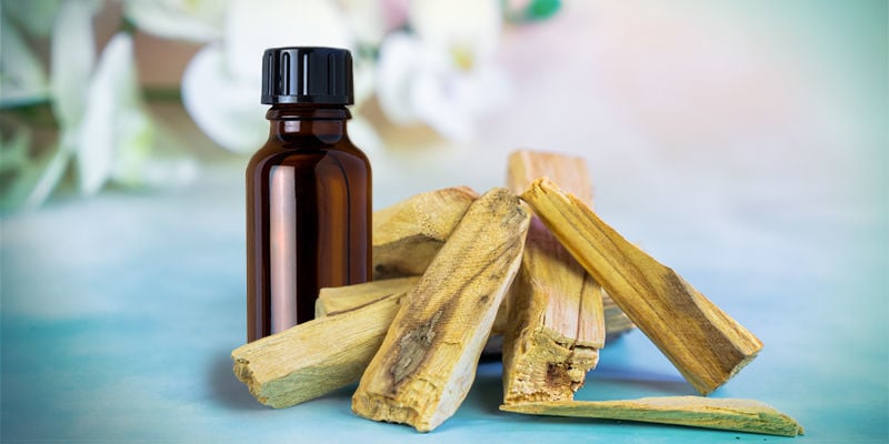 Hoe Brand Je De Essentiële Olie Van Palo Santo?