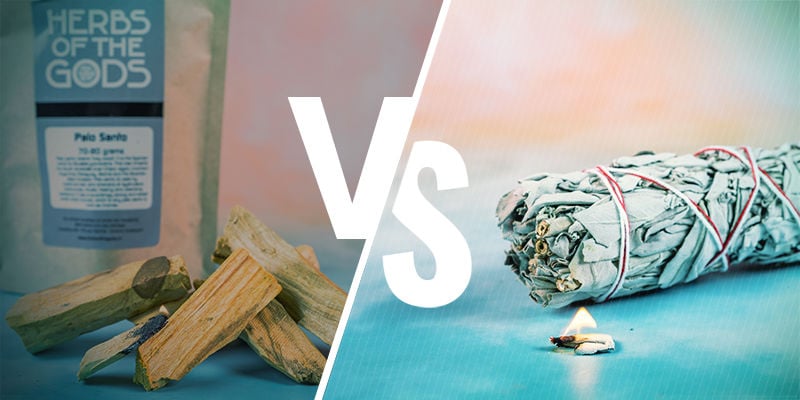 Palo santo hout versus salie