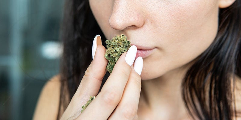 Waarom kiezen voor CBD strains?