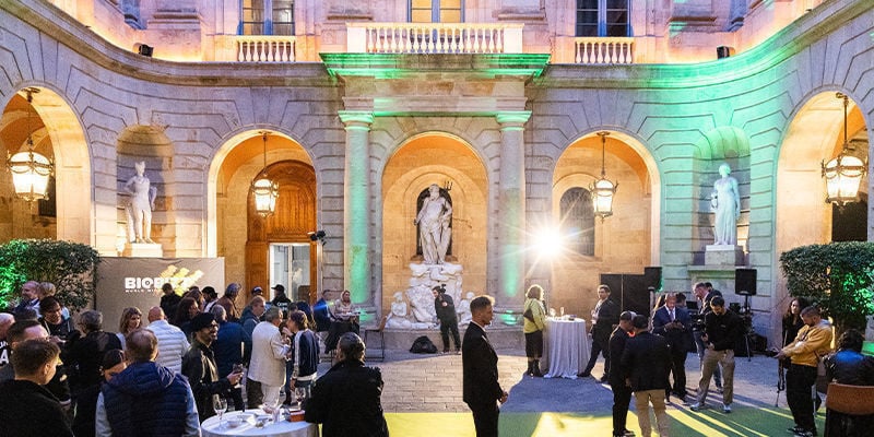 Wat Zijn De International Cannabis Awards?