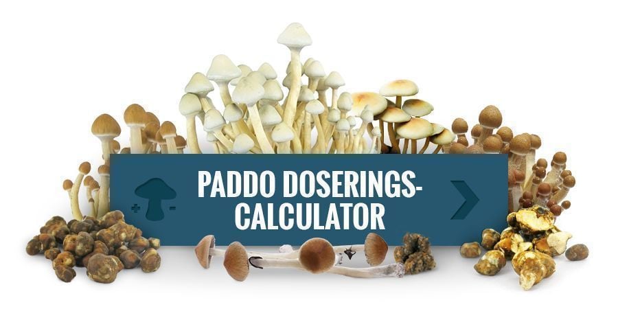 Paddo Doseringscalculator