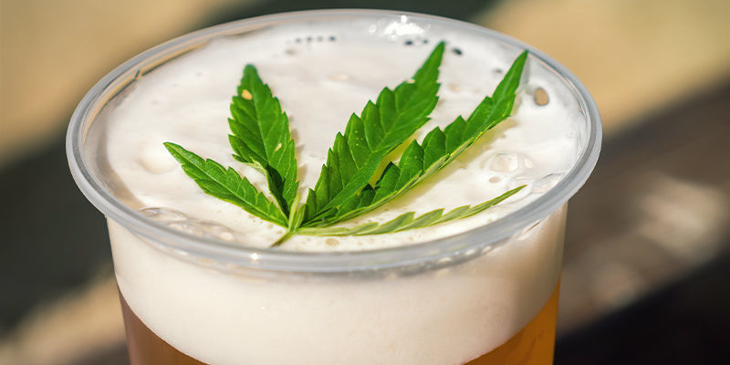 Cannabis bier