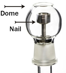 Nail rn dome 