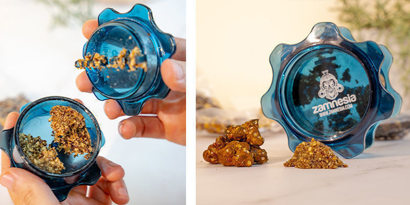 Verschillen in uiterlijk en het kweken van paddo's en magic truffles