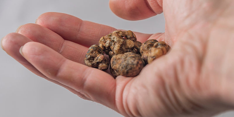 Hebben magic truffles andere effecten dan paddo's?