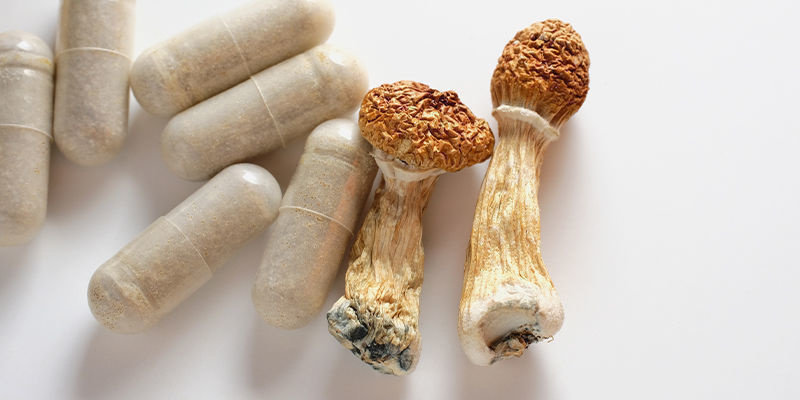 Hoe kun je magic truffles en paddo's gebruiken?