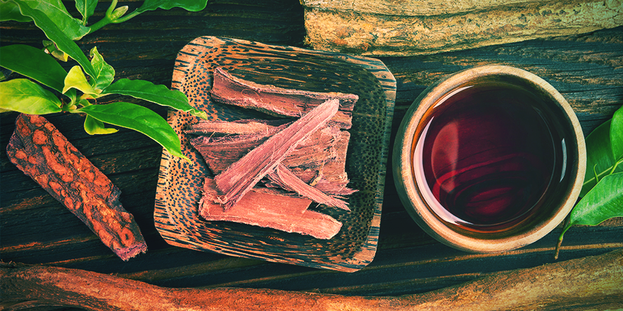 Ayahuasca: Gebruik Ayahuasca: Gebruik