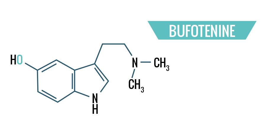 Bufotenine Bufotenine
