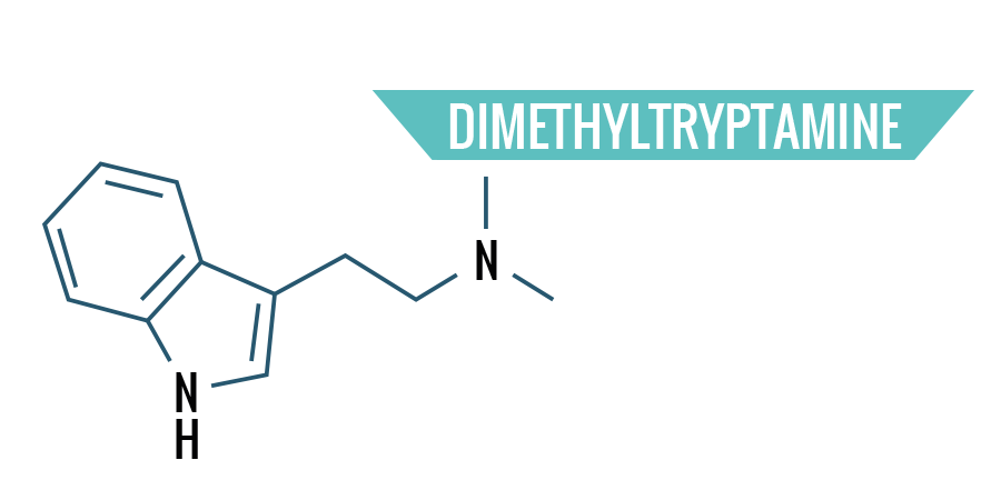 Dimethyltryptamine Dimethyltryptamine