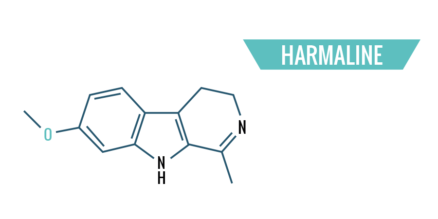 Harmaline Harmaline