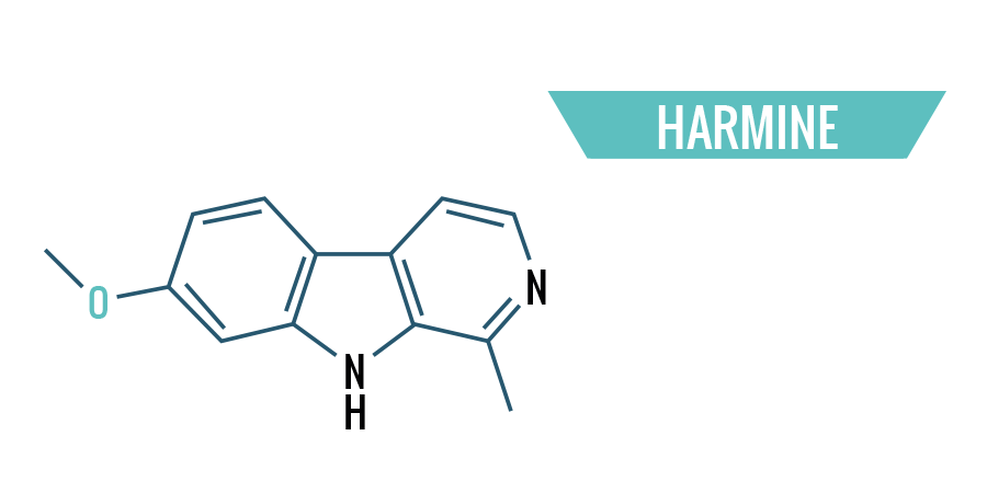 Harmine Harmine