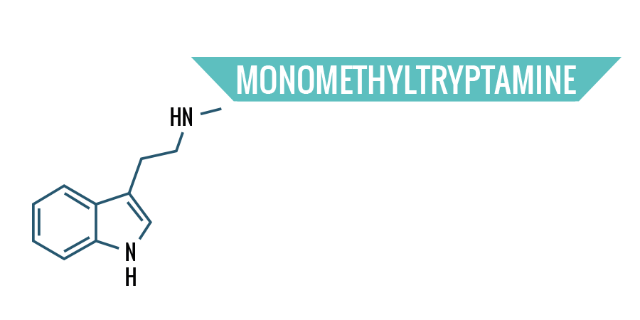 Monomethyltryptamine Monomethyltryptamine