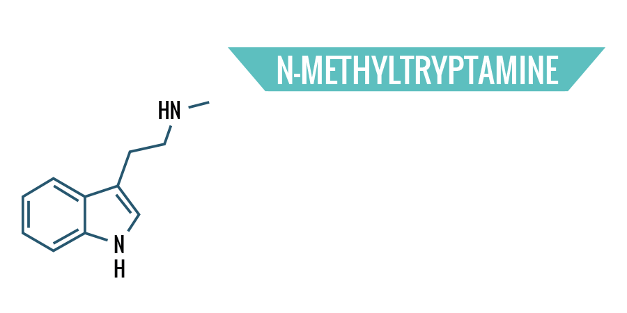 N-Methyltryptamine N-Methyltryptamine