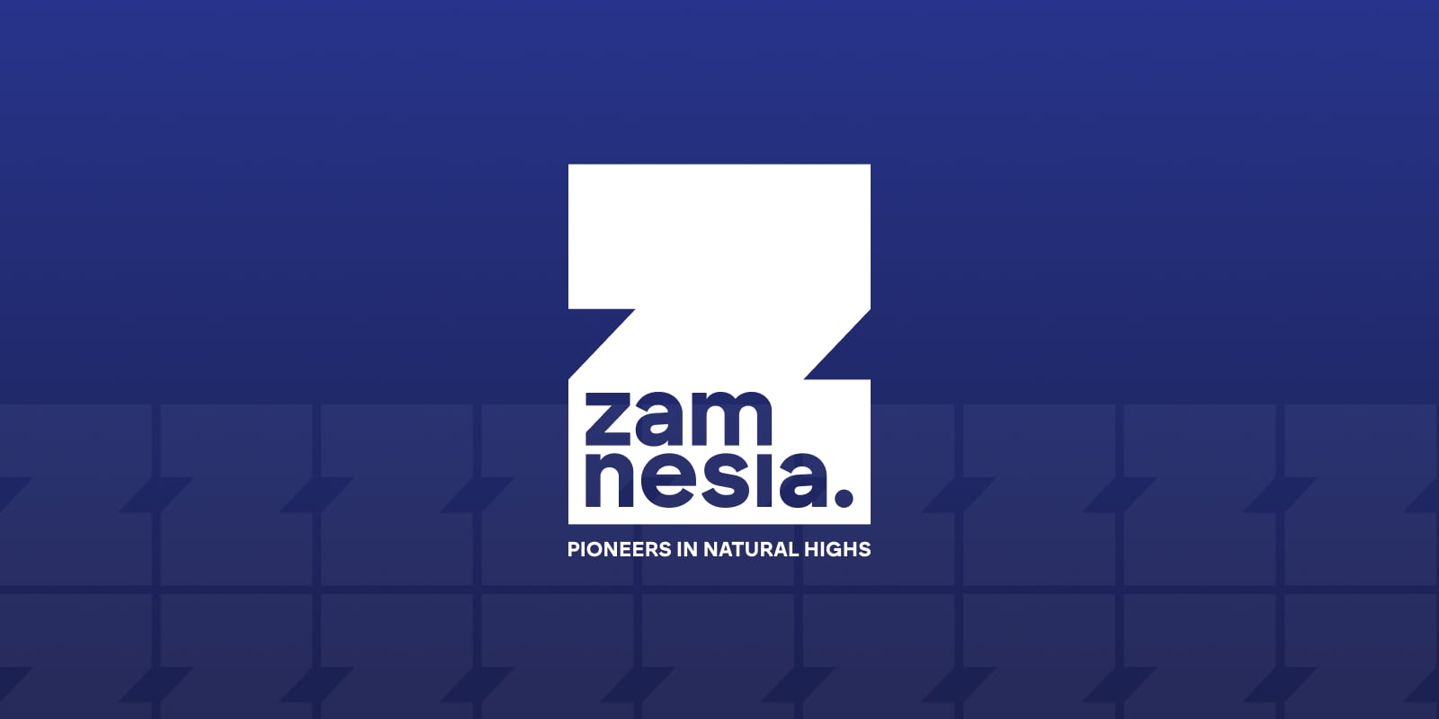 Zamnesia Privacy and Cookie Policy