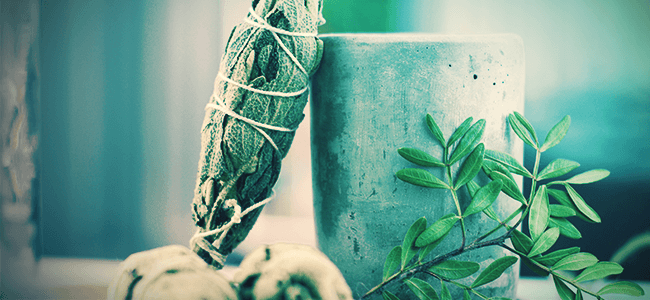 Hoe Gebruik Je Salvia Divinorum? Hoe Gebruik Je Salvia Divinorum?