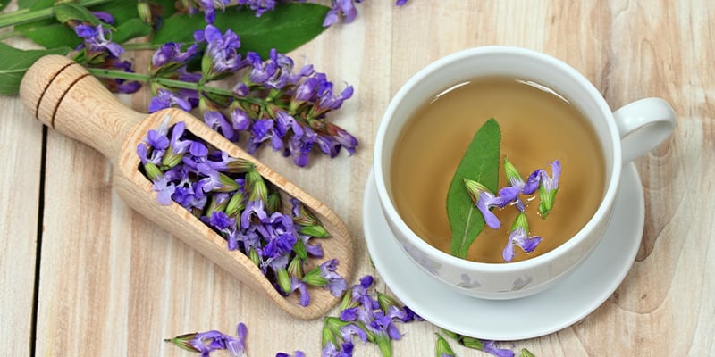 Wat is het effect van Salvia?