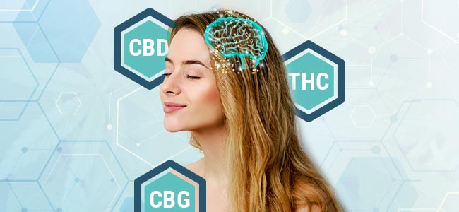 Cannabinoïden Cannabinoïden