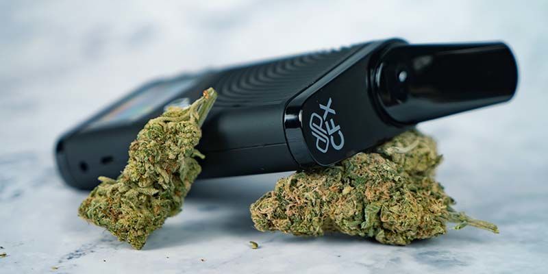 WAT ALS JE CANNABIS TE VOCHTIG OF TE DROOG IS?