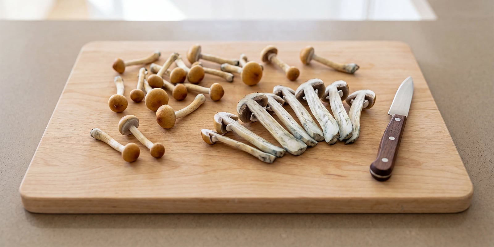 Grote of dikke mushrooms snijden voor het drogen