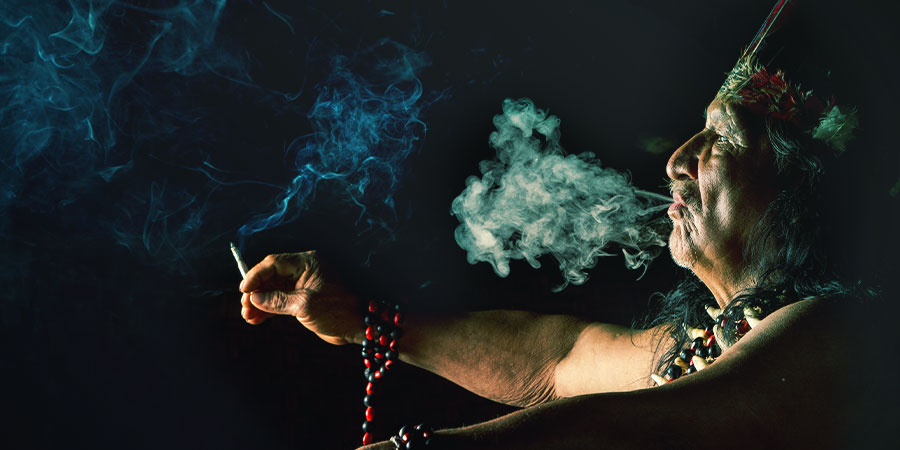 Het Ayahuasca MAOI Dieet Het Ayahuasca MAOI Dieet