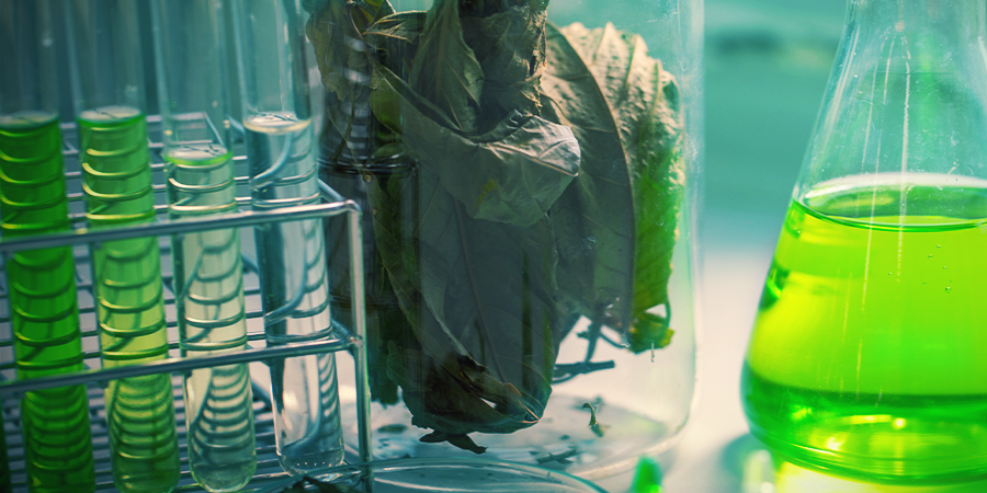 De Chemie Van Kratom De Chemie Van Kratom