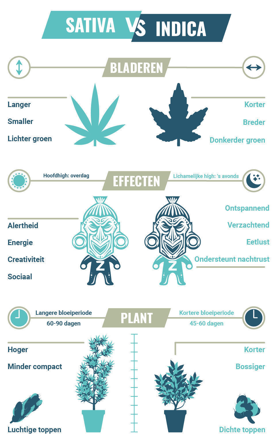 Sativa vs. Indica: Wat is het verschil? - Zamnesia