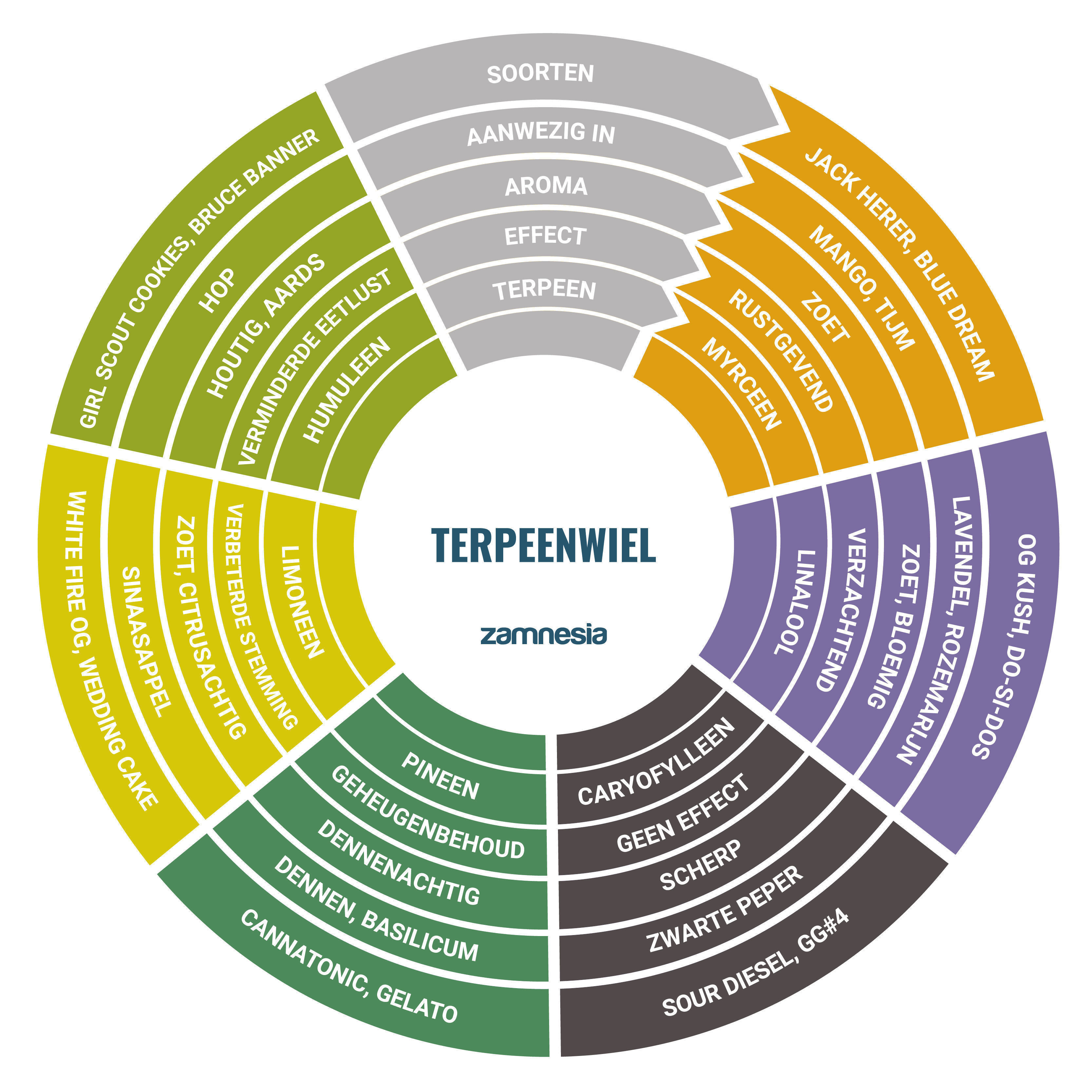 Terpeenwiel