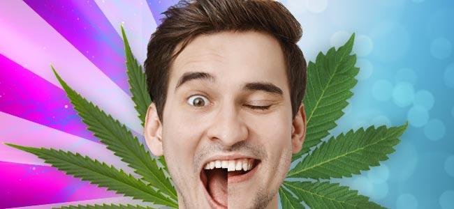 Sativa vs. Indica: Effecten