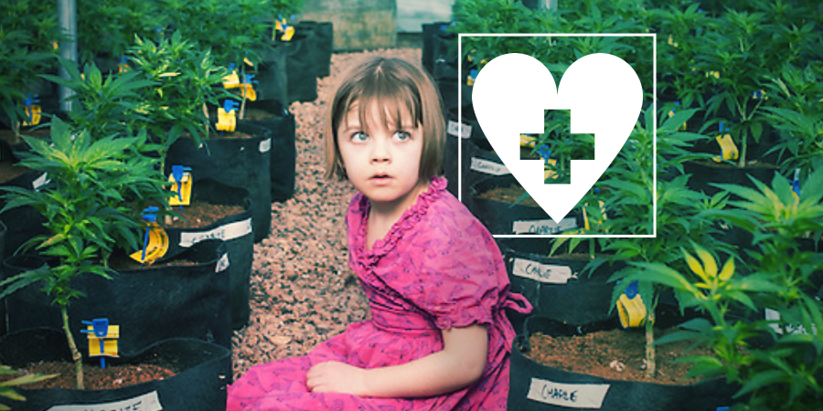 Cbd En Epilepsie: Charlottes Verhaal CBD en Epilepsie: Charlottes verhaal