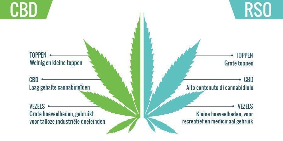 CBD vs RSO