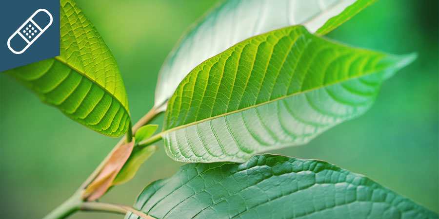 Kratom Thai