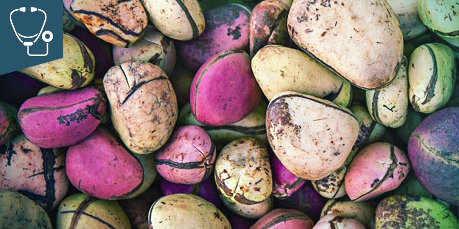 Kola Nut