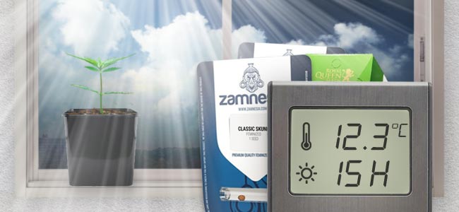 Mei: Puristen Kunnen Zaden Ontkiemen Mei: Puristen Kunnen Zaden Ontkiemen