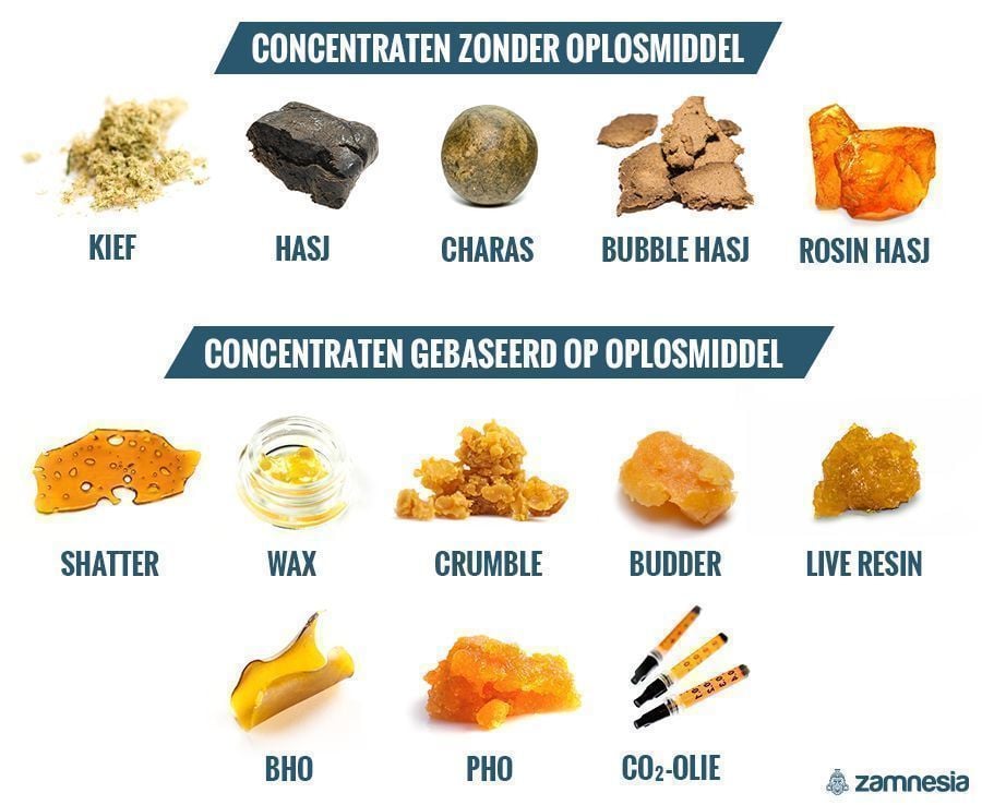 VERSCHILLENDE SOORTEN CONCENTRATEN: MET OPLOSMIDDEL VERSUS ZONDER OPLOSMIDDEL