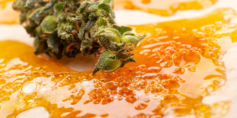 Cannabisconcentraten versus gedroogde wiet