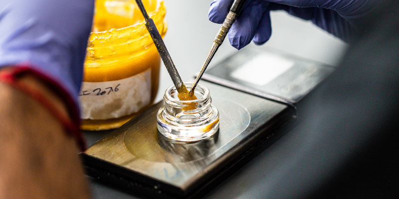 Hoe worden cannabisconcentraten gemaakt?