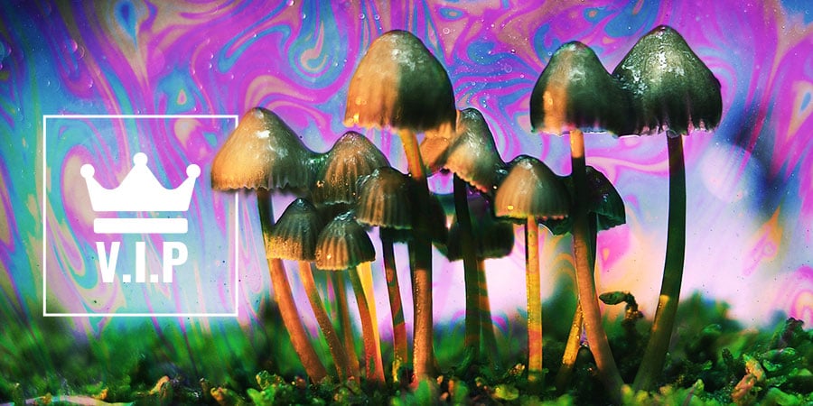 Psychedelics VIPs