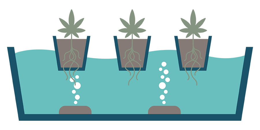 Wat Is DWC? Wat Is DWC?