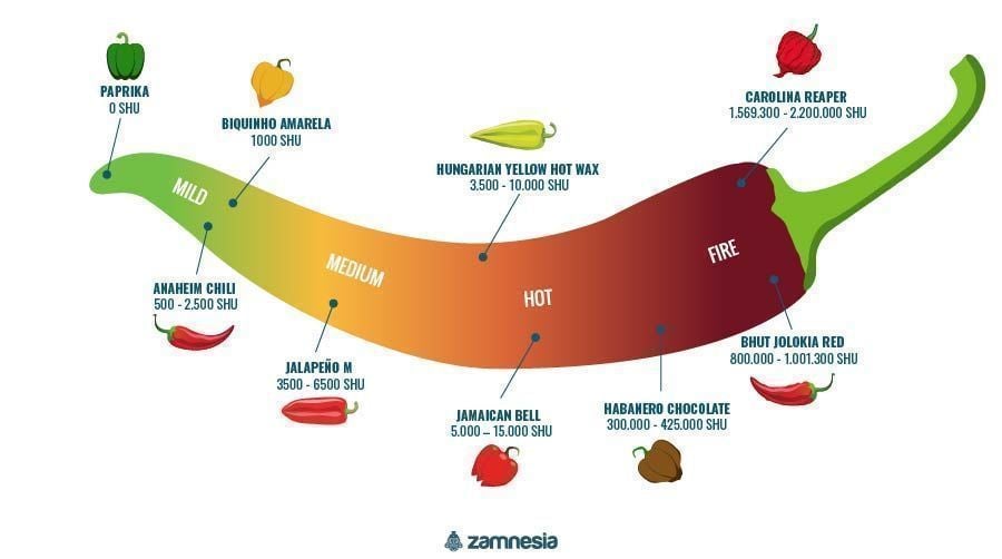 Hete Pepers Infographic