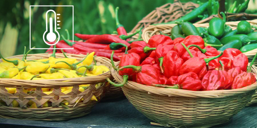 Wat is de Scovilleschaal