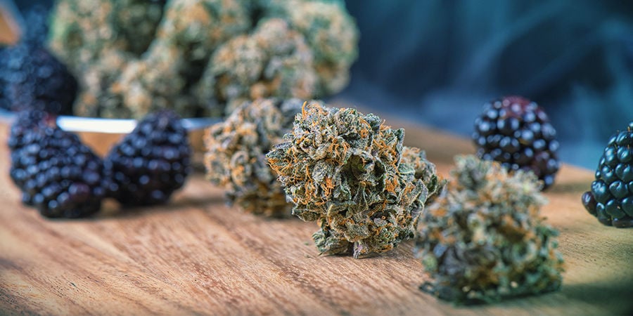 Cannabis Seedfinder: De Smaken Van Wiet