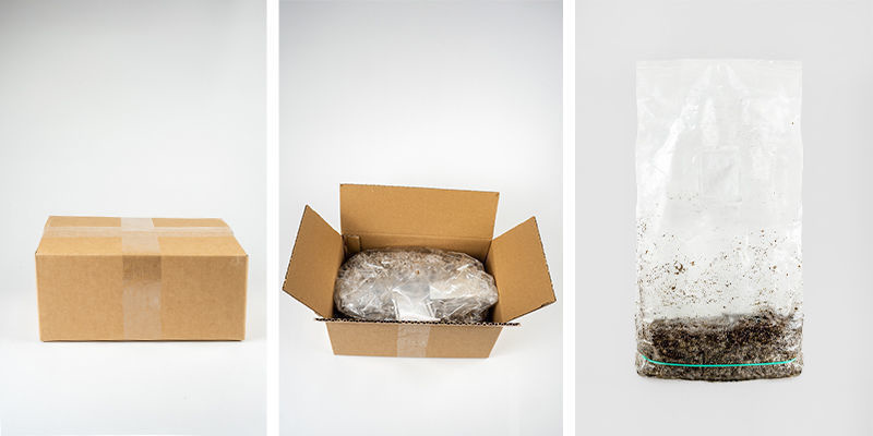 Wat zit er in de Zamnesia Ready-2-Grow Bag? Wat zit er in de Zamnesia Ready-2-Grow Bag?