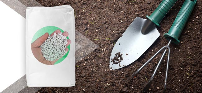 Aardemix Voor Cactussen Aardemix Voor Cactussen