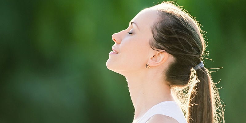 Waar wordt Ginkgo biloba voor gebruikt?