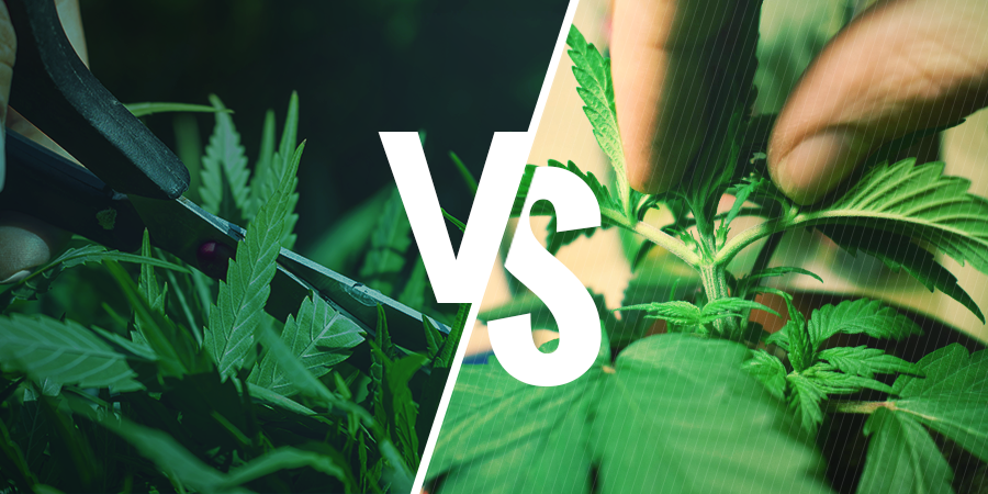 Schaar Vs. Vingers SCHAAR VS. VINGERS
