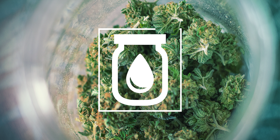 Water Curing Van Cannabis: Wat Is Het En Hoe Het Moet Water Curing Van Cannabis: Wat Is Het En Hoe Het Moet