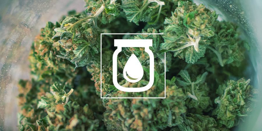 Water Curing Van Cannabis: Wat Is Het En Hoe Het Moet