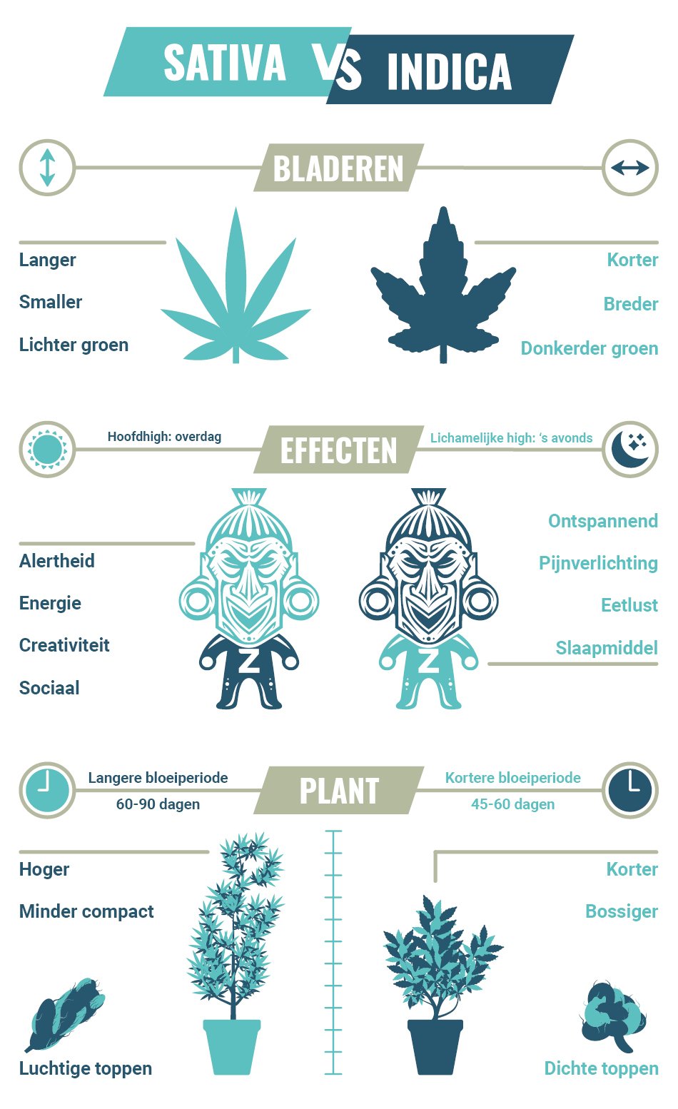 Sativa Vs. Indica