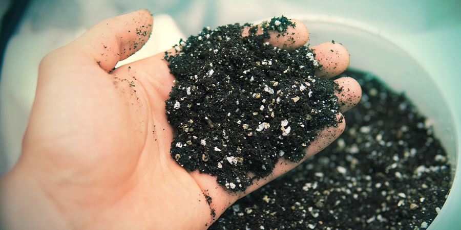 Hoe Je Zelf Biologische Super Soil Maakt Hoe Je Zelf Biologische Super Soil Maakt