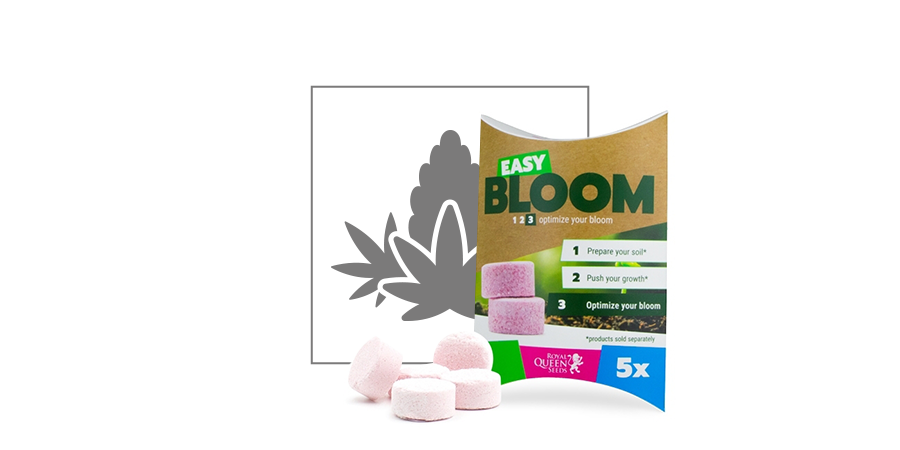 Easy Bloom Booster Tabletten